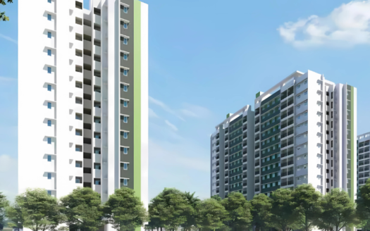 Adarsh Rose wood